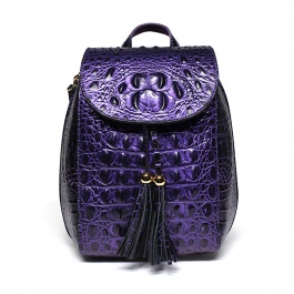 【赫升】时尚女包P901紫色休闲背包