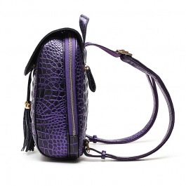 【赫升】时尚女包P901紫色休闲背包